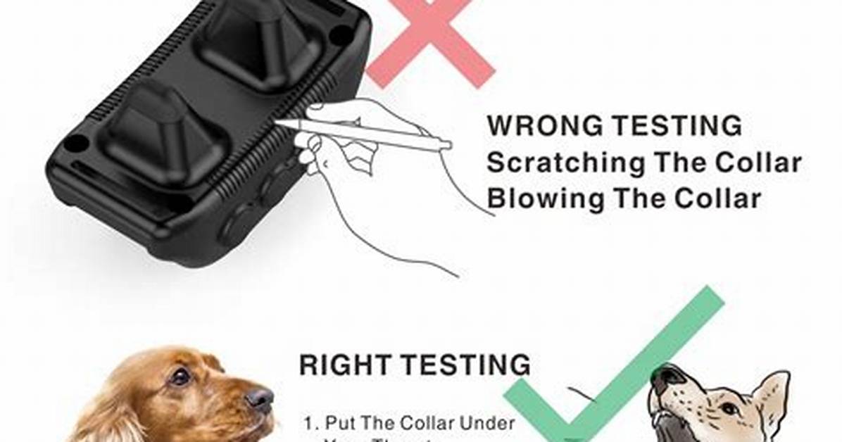 How Do Bark Collars Work?