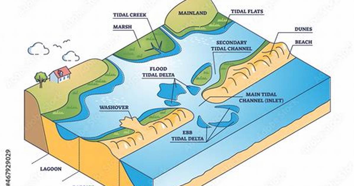 How Do Barrier Beaches Develop?