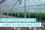 How Do Bato Buckets Work