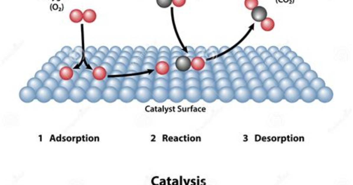 How Do Catalysts Work