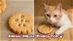 How Do Cats Make Biscuits?