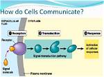 How Do Cells Communicate