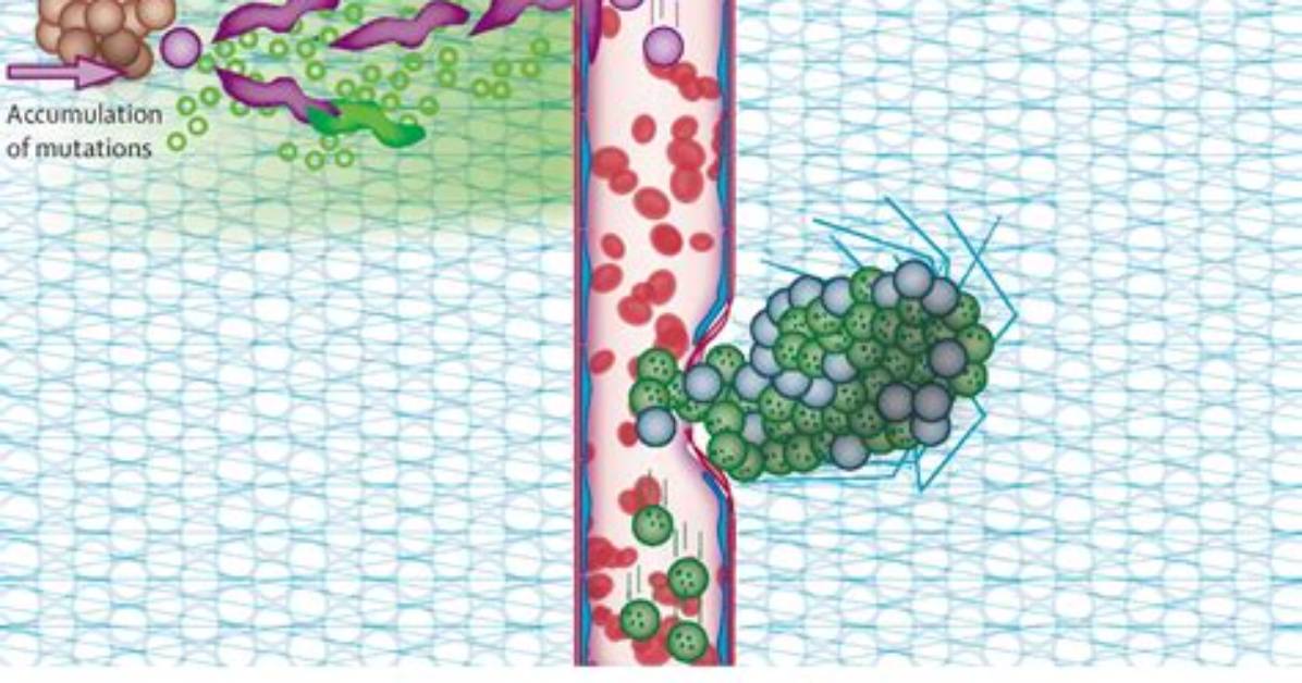 How Do Cells Crawl?