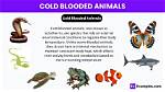 How Do Cold Blooded Animals Regulate Their Body Temperature?