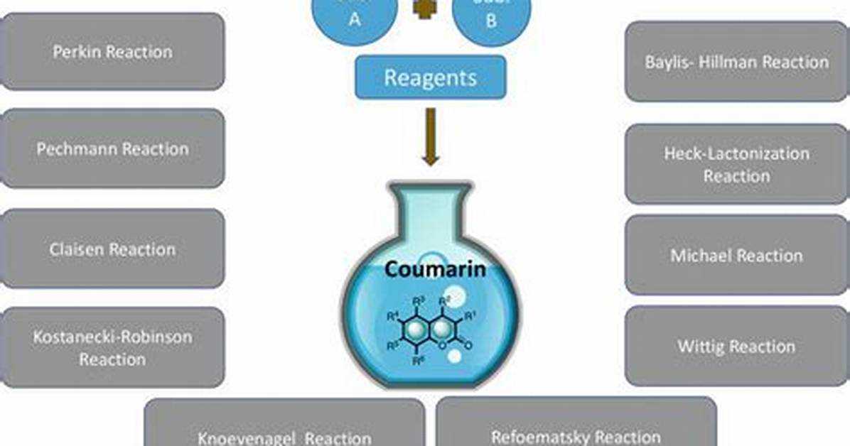 How Do Coumarins Work?