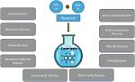 How Do Coumarins Work?