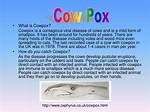 How Do Cows Get Cowpox?