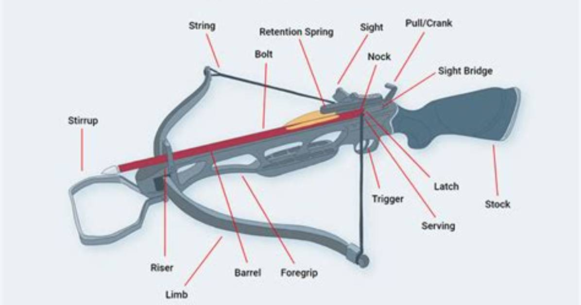 How Do Crossbows Work 5E?