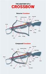 How Do Crossbows Work 5E?