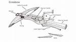 How Do Crossbows Work?