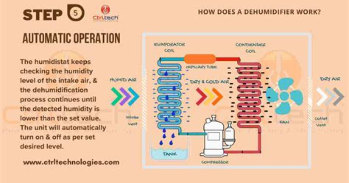 How Do Dehumidifiers Work?