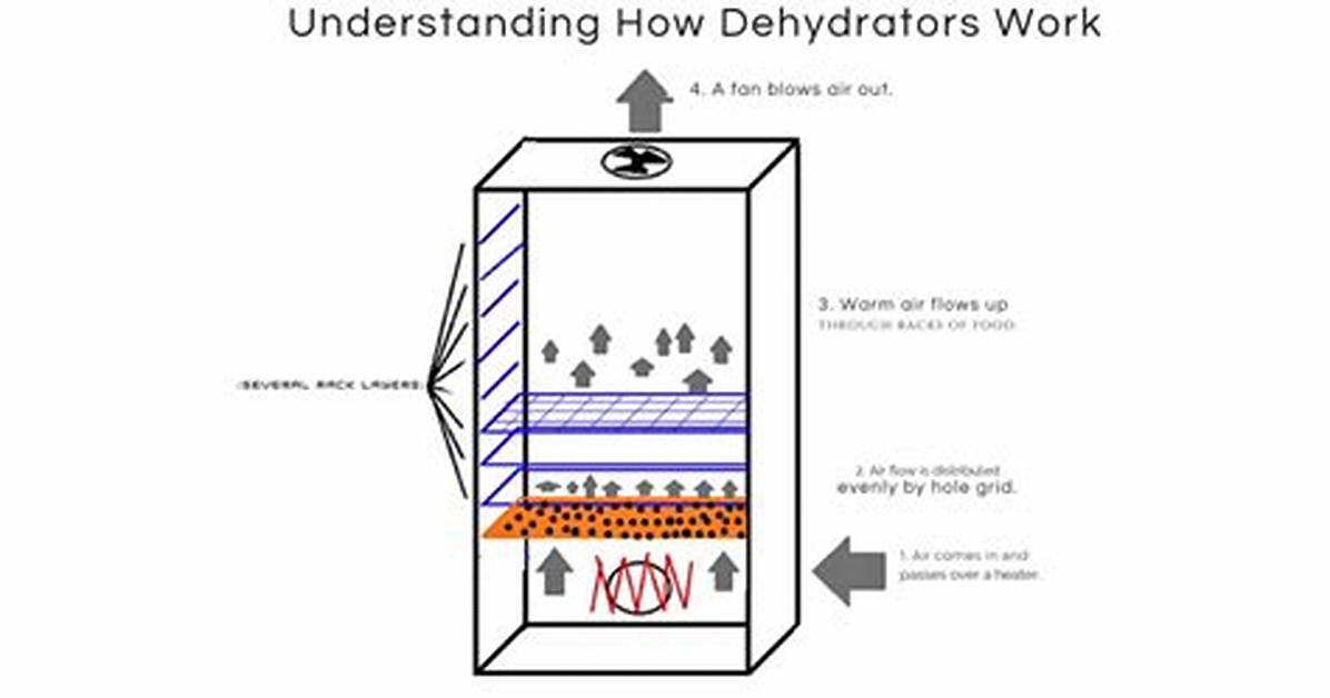 How Do Dehydrators Work?