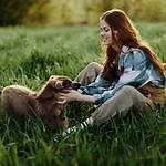 How Do Dogs Communicators Work?