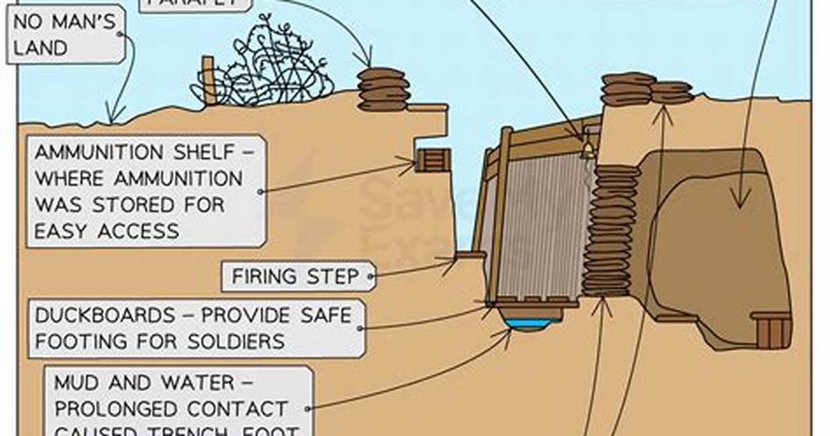 How Do Duckboards Work?