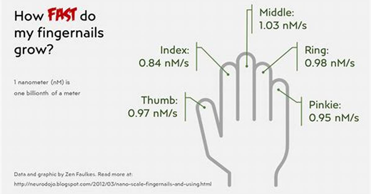 How Do Fingernails Grow