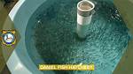 How Do Fish Hatcheries Work?