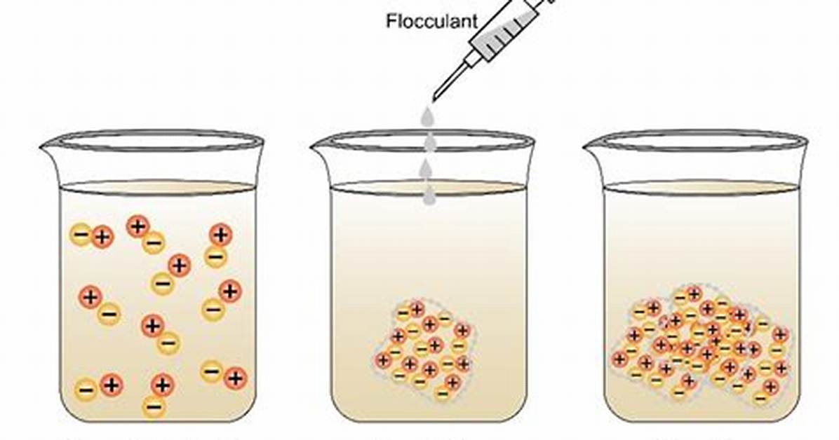 How Do Flocculating Agents Work?