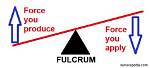 How Do Fulcrums Work?