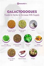 How Do Galactagogues Work?
