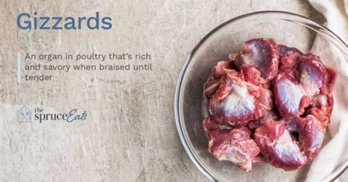 How Do Gizzards Work?