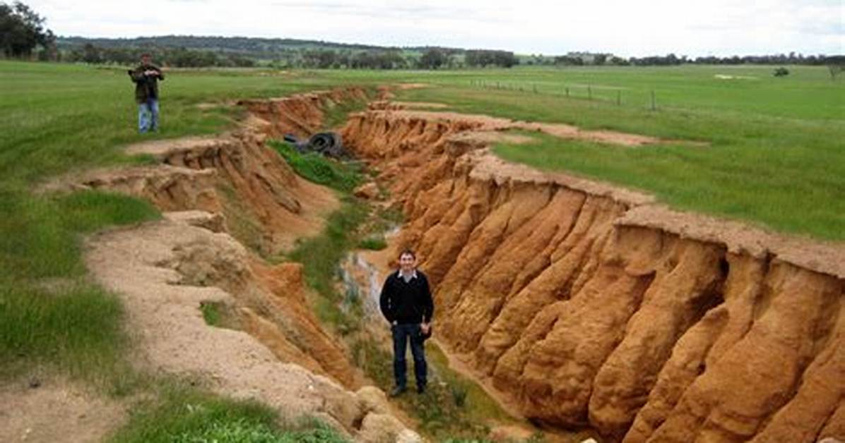 How Do Gullies Work?