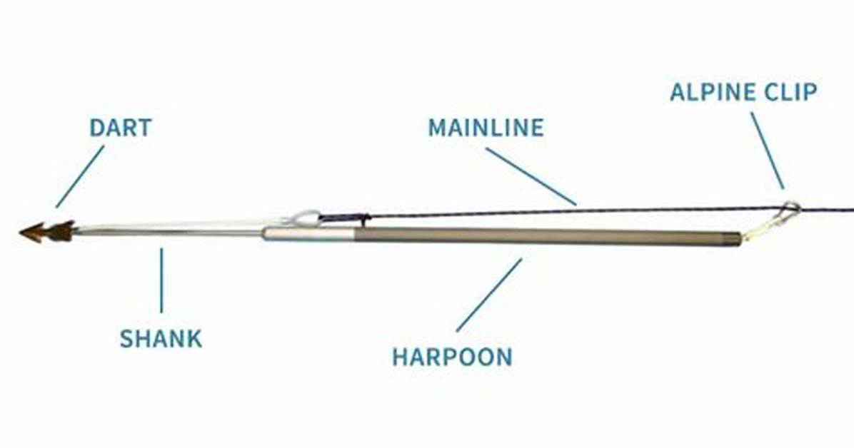How Do Harpoons Work?