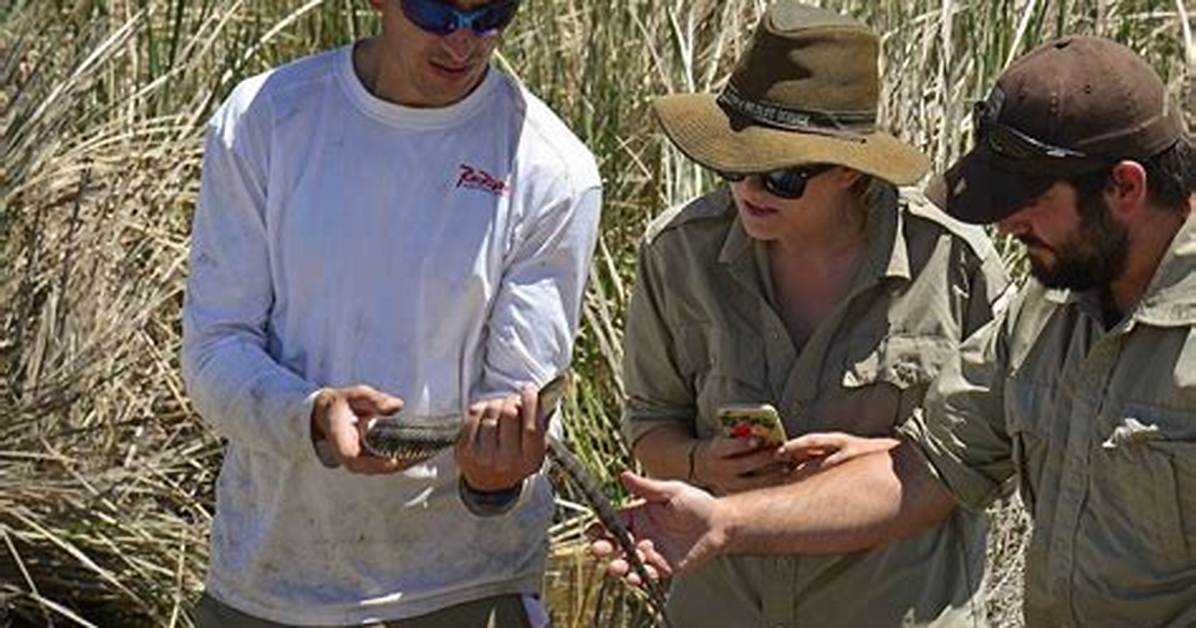 How Do Herpetologists Work?