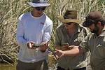 How Do Herpetologists Work?