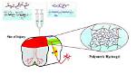How Do Hydrogels Work?