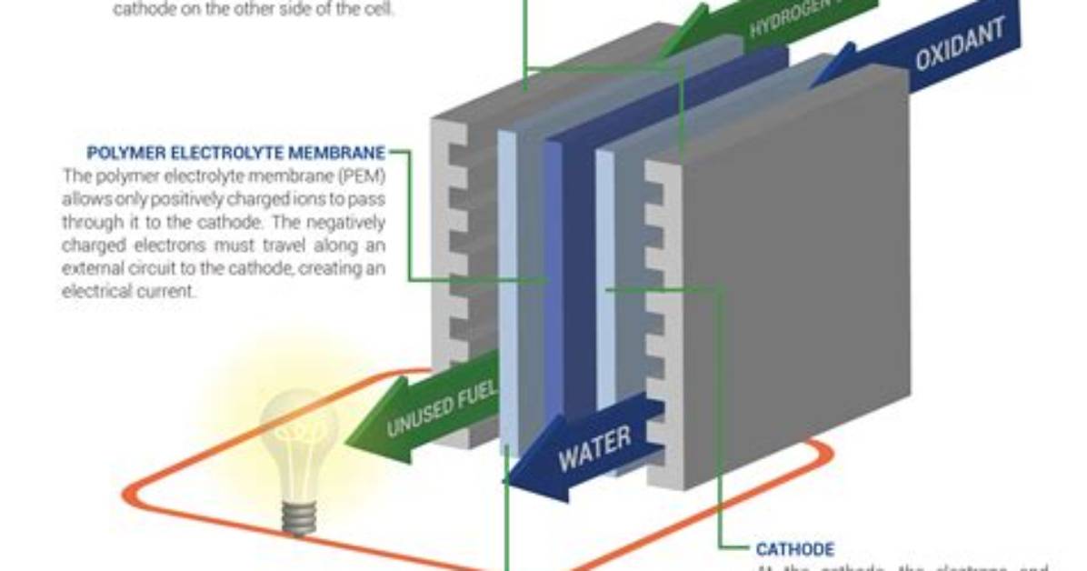 How Do Hydrogen Cells Work