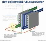 How Do Hydrogen Cells Work