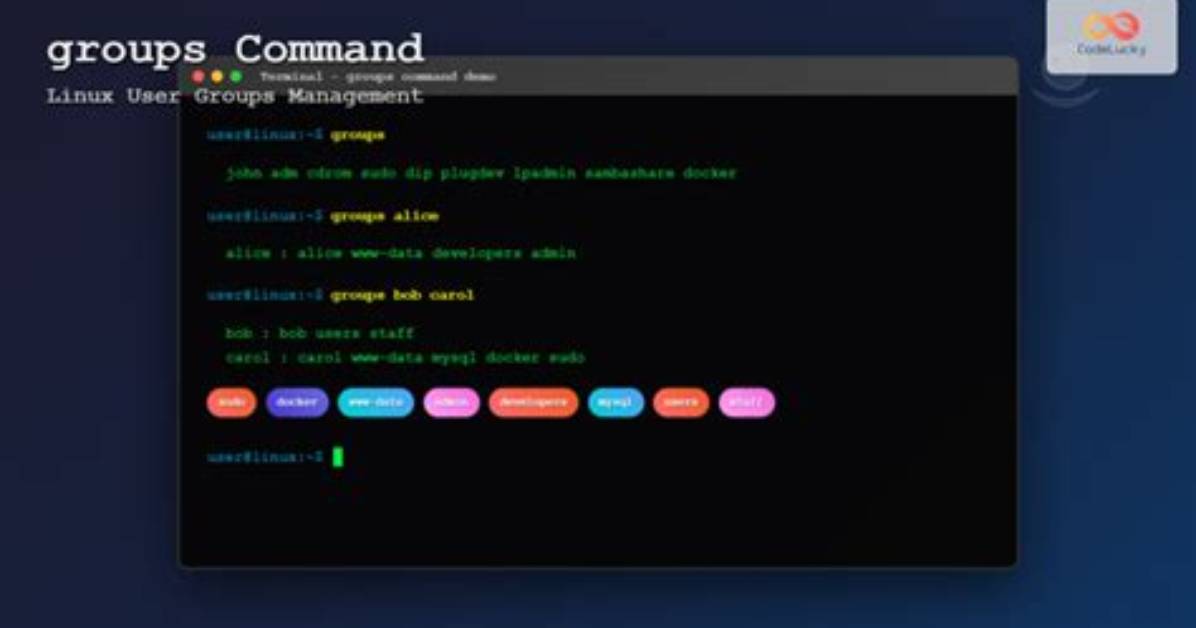 How Do I Access Groups in Linux?