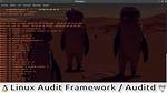 How Do I Audit in Linux