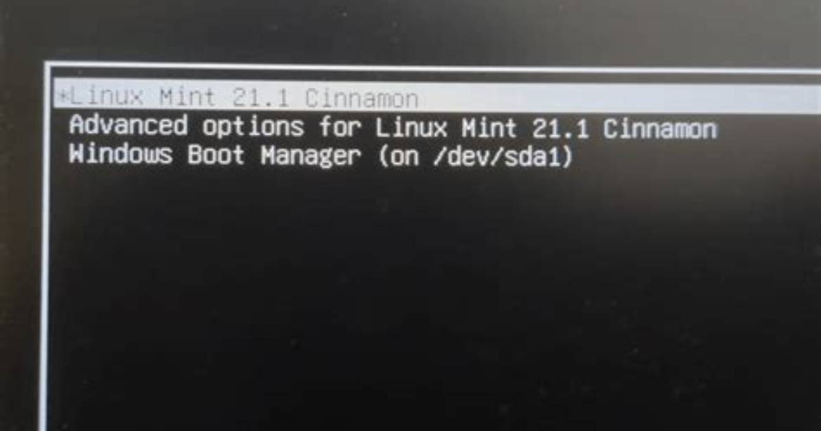 How Do I Boot Linux Mint?