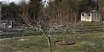How Do I Change Branches