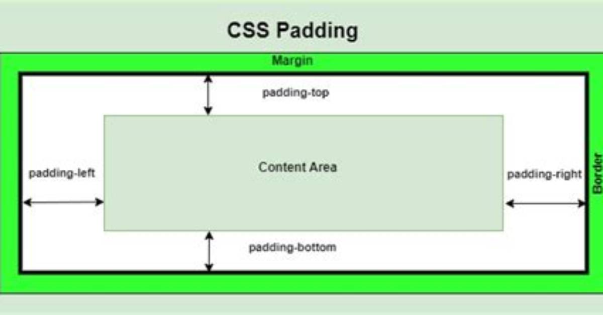 How Do I Change Padding in Html?