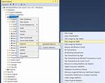 How Do I Check If a Database Is Installed on Linux?