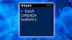 How Do I Compare Values in Bash?