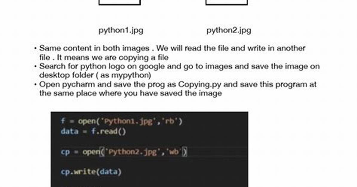 How Do I Copy a Binary File in Linux?