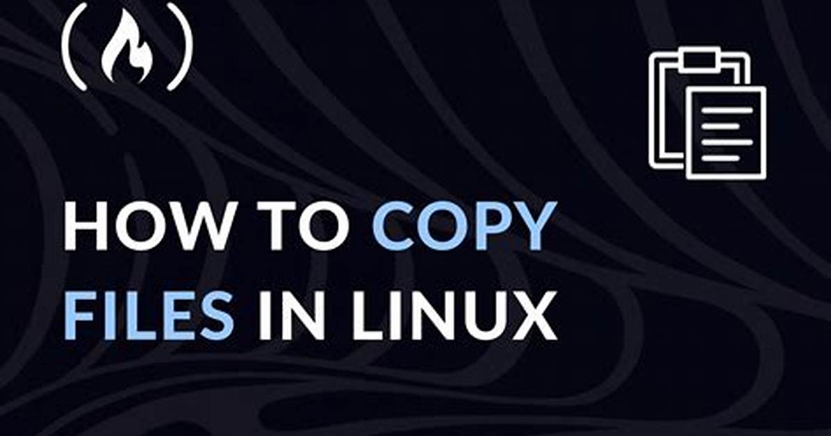 How Do I Copy Files from Linux to Windows Using Putty?
