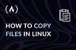 How Do I Copy Files from Linux to Windows Using Winscp?