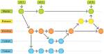 How Do I Create a Git Release Branch