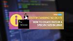 How Do I Create a Specific File Size in Windows?