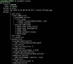 How Do I Create a Systemctl Service in Linux?