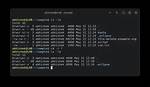 How Do I Delete Everything on Linux?