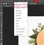 How Do I Deselect a Selection Tool in Photoshop?