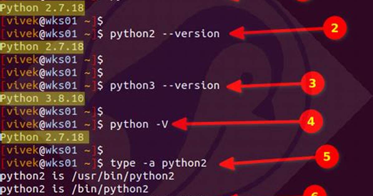 How Do I Determine If My Python Shell Is Executing in 32Bit or 64Bit?