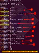 How Do I Determine If My Python Shell Is Executing in 32Bit or 64Bit?