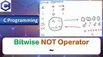 How Do I Do a Bitwise Not Operation in Python?