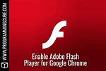 How Do I Enable Adobe Flash Player on My Android?